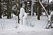 Zimowy duch tatrzańskiego lasu.