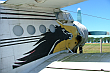 Antonow AN-2 w ładnym malowaniu. Miejscowość Odargowo 2004 rok. W chwili obecnej samolot został usunięty.